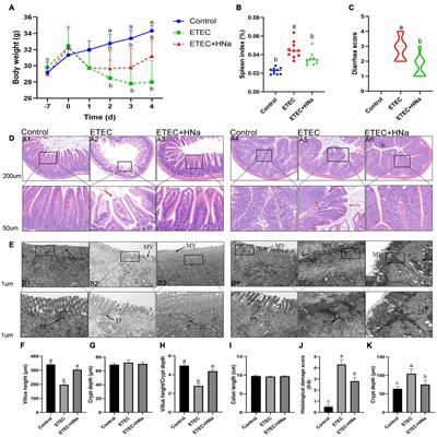 Sodium Humate Alleviates Enterotoxigenic Escherichia coli-Induced Intestinal Dysfunction via Alteration of Intestinal Microbiota and Metabolites in Mice